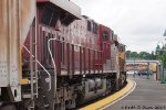 Northbound UP/CP grain train.